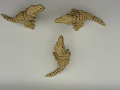 Velociraptor skeleton
