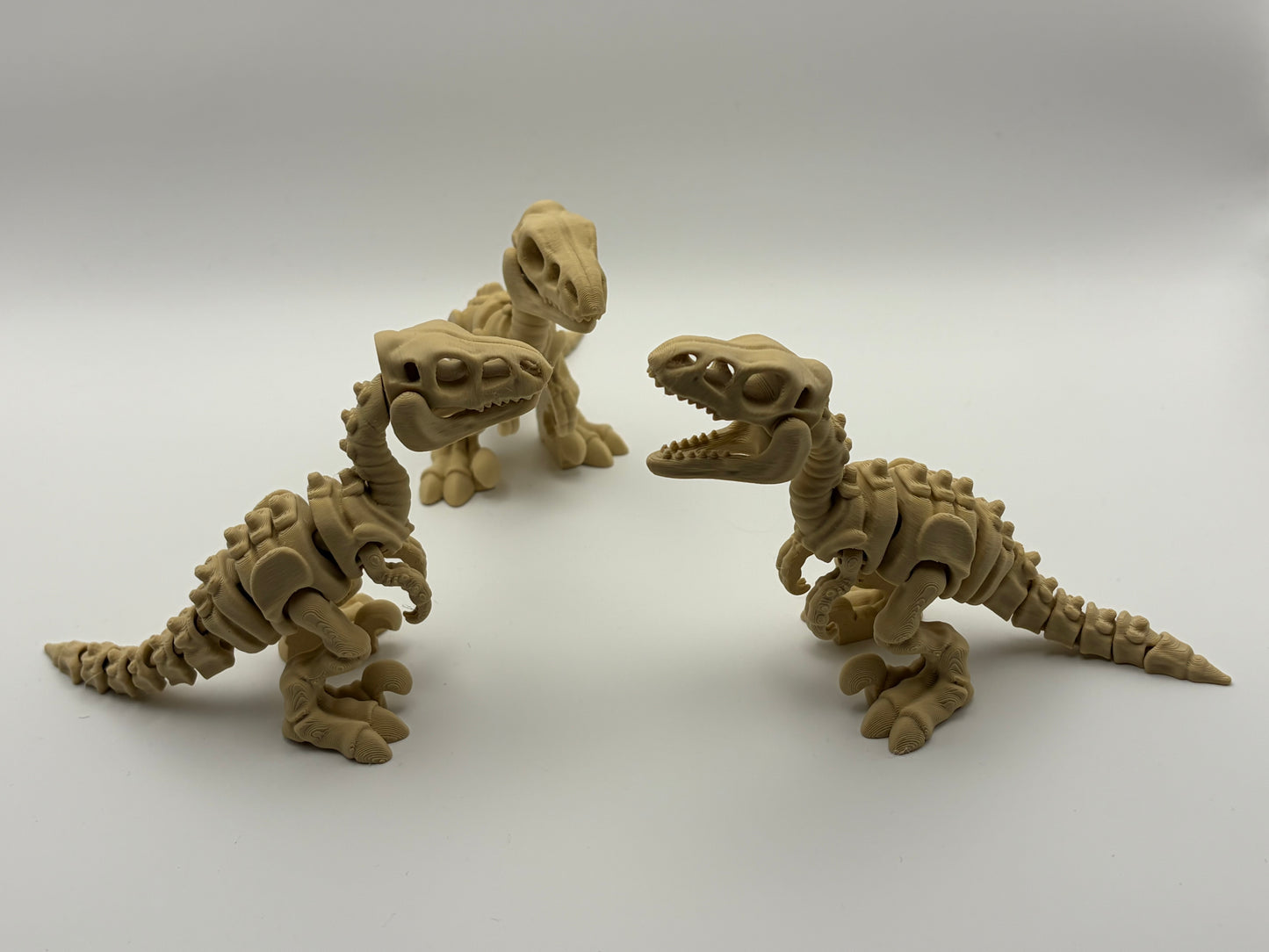 Velociraptor skeleton