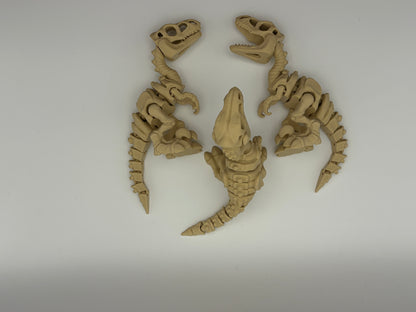 Velociraptor skeleton