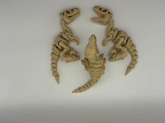 Velociraptor skeleton