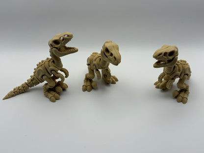 Velociraptor skeleton
