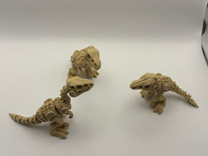 Velociraptor skeleton