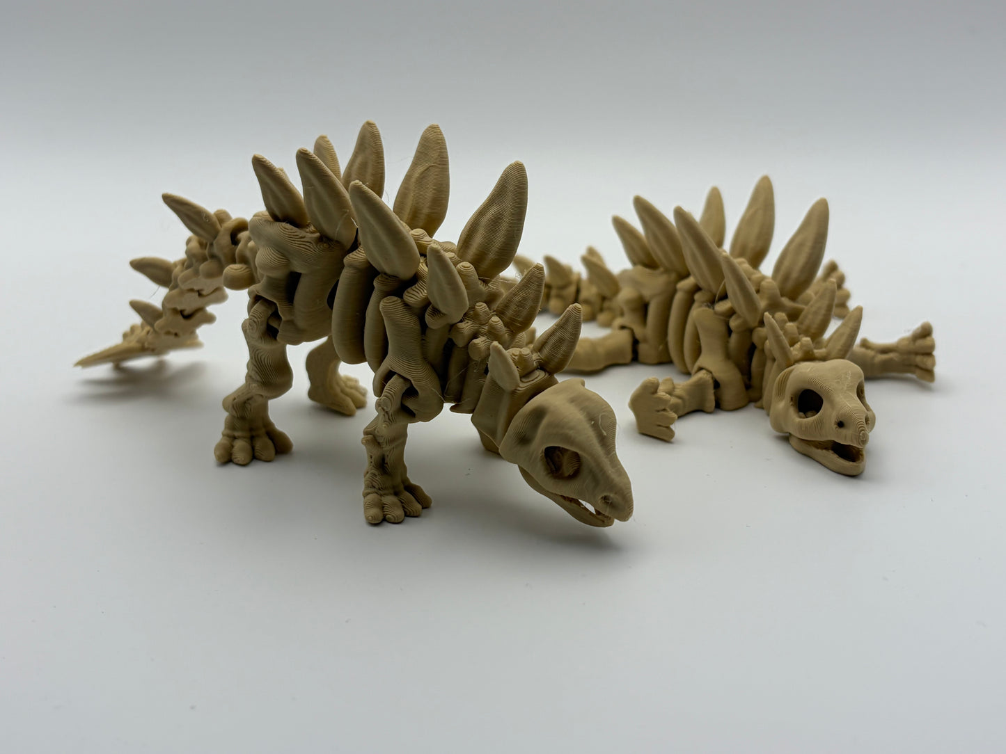 Stegosaurus skeleton