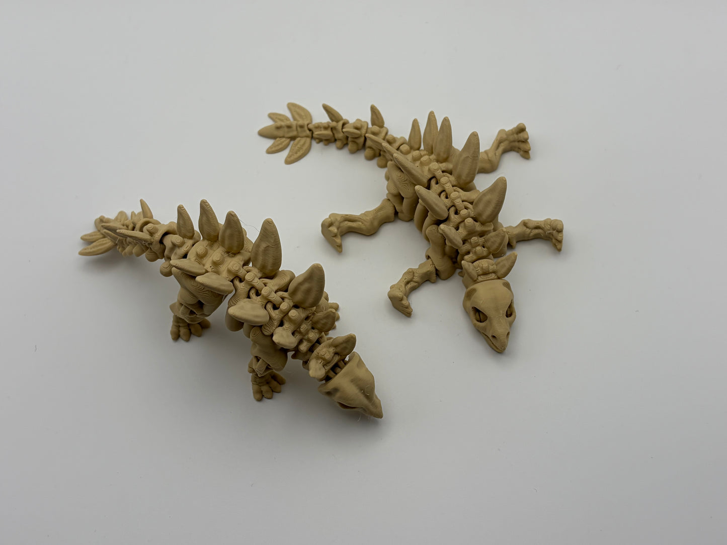 Stegosaurus skeleton